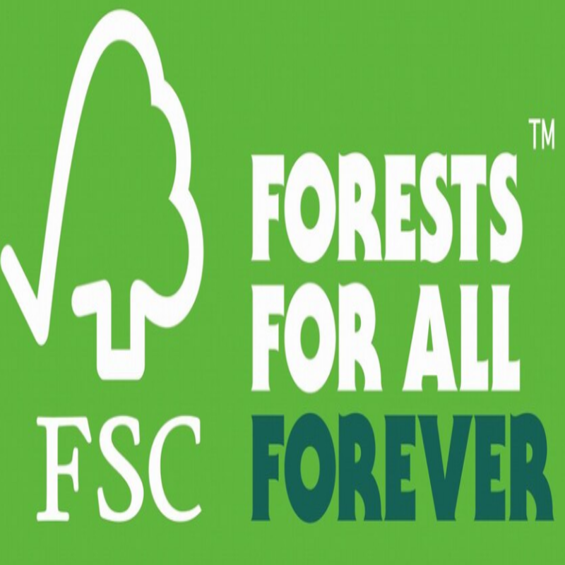 FSC Paper Packaging: The Sustainable Choice for Your Business