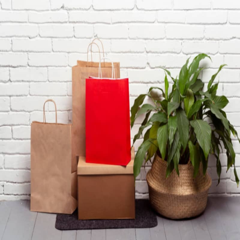 Paper Bag Marketing: Crafting Sustainable Brand Messages